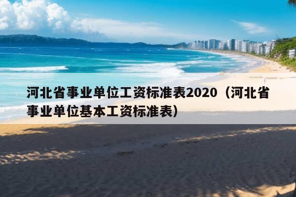 河北省事业单位工资标准表2020（河北省事业单位基本工资标准表）