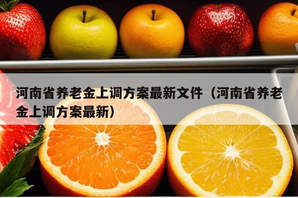 河南省养老金上调方案最新文件（河南省养老金上调方案最新）