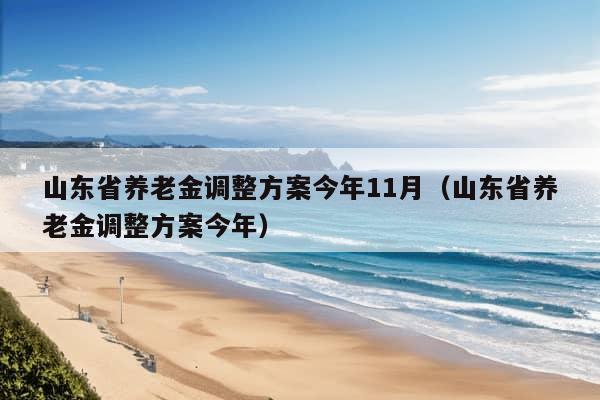 山东省养老金调整方案今年11月（山东省养老金调整方案今年）