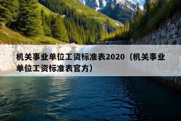 机关事业单位工资标准表2020（机关事业单位工资标准表官方）