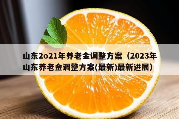 山东2o21年养老金调整方案（2023年山东养老金调整方案(最新)最新进展）