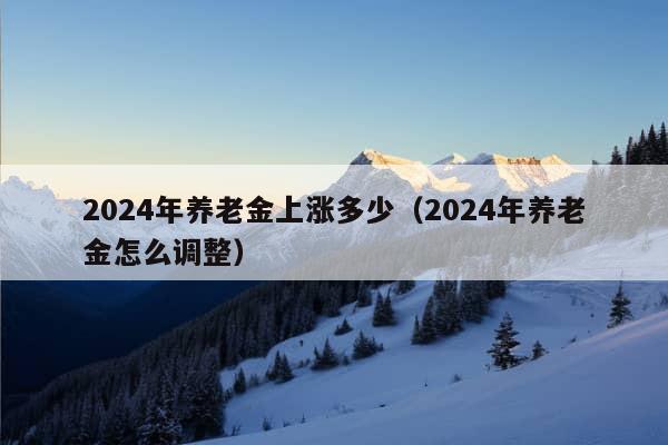 2024年养老金上涨多少（2024年养老金怎么调整）