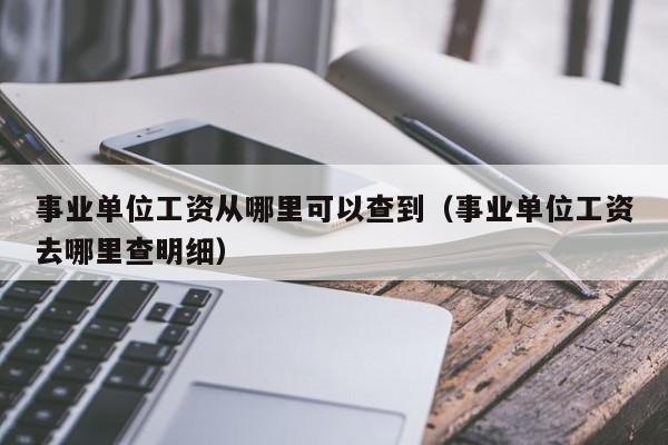 事业单位工资从哪里可以查到（事业单位工资去哪里查明细）