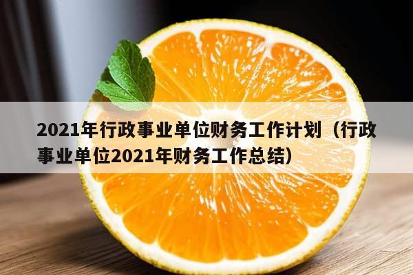 2021年行政事业单位财务工作计划（行政事业单位2021年财务工作总结）