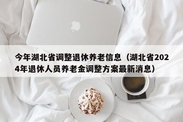 今年湖北省调整退休养老信息（湖北省2024年退休人员养老金调整方案最新消息）