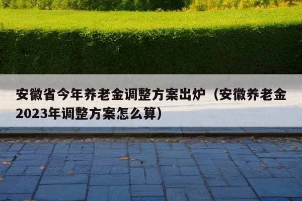 安徽省今年养老金调整方案出炉（安徽养老金2023年调整方案怎么算）