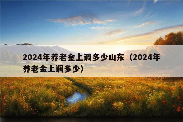 2024年养老金上调多少山东（2024年养老金上调多少）