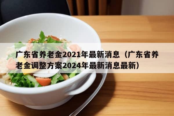 广东省养老金2021年最新消息（广东省养老金调整方案2024年最新消息最新）