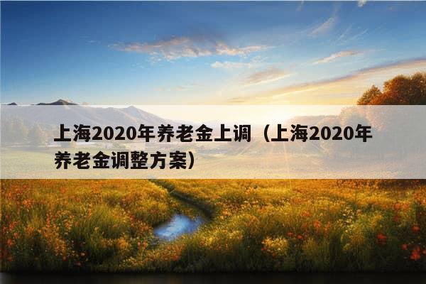 上海2020年养老金上调（上海2020年养老金调整方案）