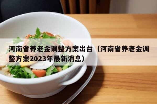 河南省养老金调整方案出台（河南省养老金调整方案2023年最新消息）