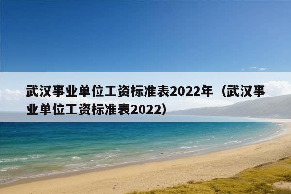 武汉事业单位工资标准表2022年（武汉事业单位工资标准表2022）