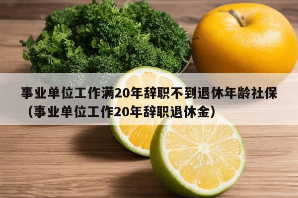 事业单位工作满20年辞职不到退休年龄社保（事业单位工作20年辞职退休金）