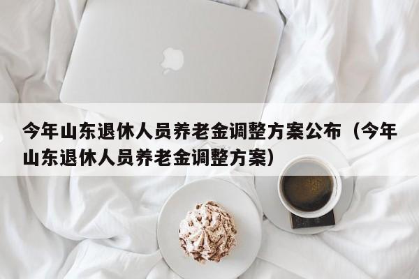 今年山东退休人员养老金调整方案公布（今年山东退休人员养老金调整方案）