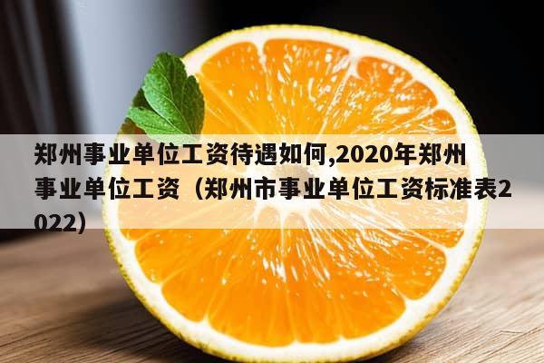 郑州事业单位工资待遇如何,2020年郑州事业单位工资（郑州市事业单位工资标准表2022）