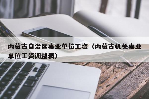 内蒙古自治区事业单位工资（内蒙古机关事业单位工资调整表）