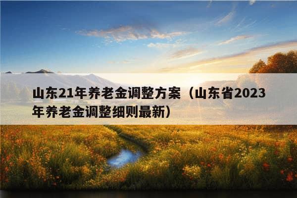 山东21年养老金调整方案（山东省2023年养老金调整细则最新）