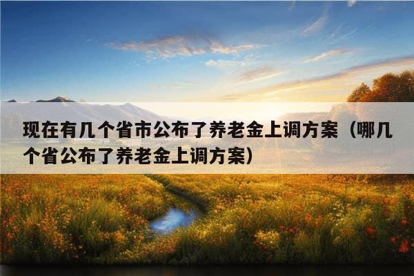 现在有几个省市公布了养老金上调方案（哪几个省公布了养老金上调方案）