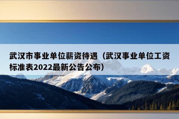 武汉市事业单位薪资待遇（武汉事业单位工资标准表2022最新公告公布）