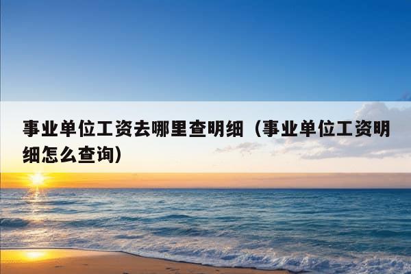 事业单位工资去哪里查明细（事业单位工资明细怎么查询）