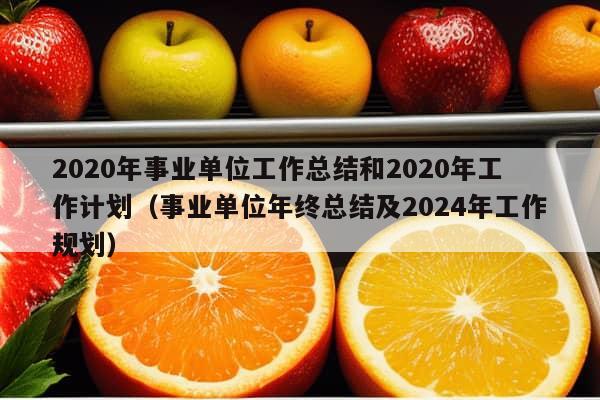 2020年事业单位工作总结和2020年工作计划（事业单位年终总结及2024年工作规划）