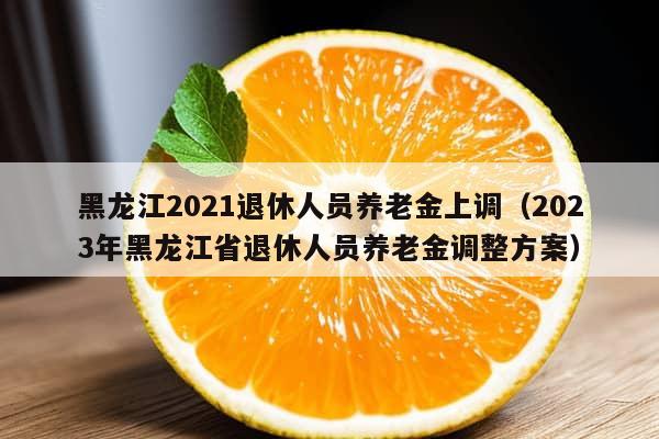 黑龙江2021退休人员养老金上调（2023年黑龙江省退休人员养老金调整方案）