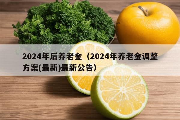 2024年后养老金（2024年养老金调整方案(最新)最新公告）