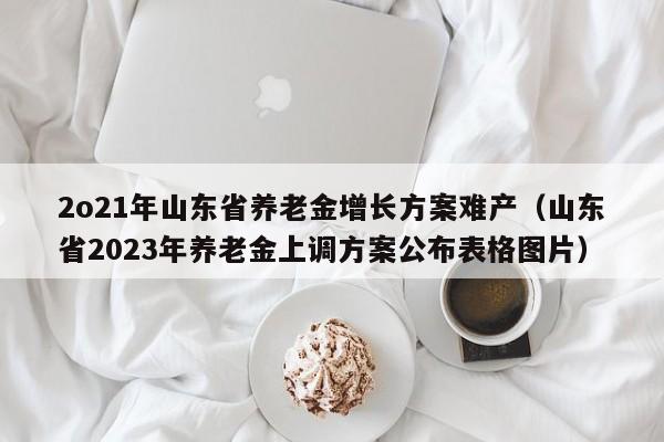 2o21年山东省养老金增长方案难产（山东省2023年养老金上调方案公布表格图片）