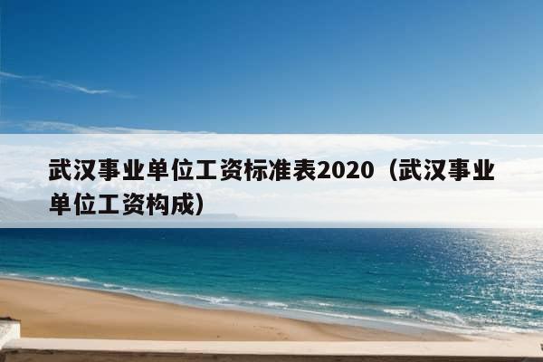 武汉事业单位工资标准表2020（武汉事业单位工资构成）