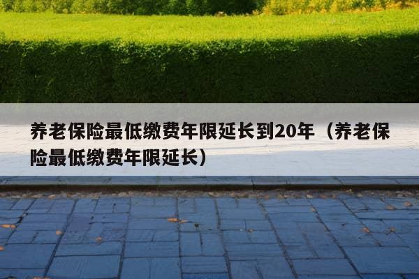 养老保险最低缴费年限延长到20年（养老保险最低缴费年限延长）