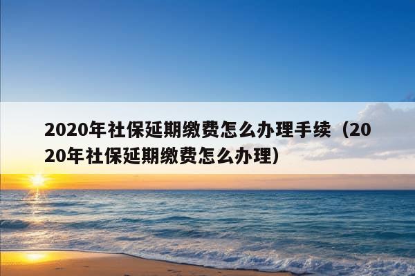 2020年社保延期缴费怎么办理手续（2020年社保延期缴费怎么办理）