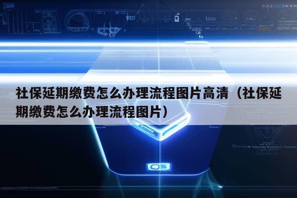 社保延期缴费怎么办理流程图片高清（社保延期缴费怎么办理流程图片）