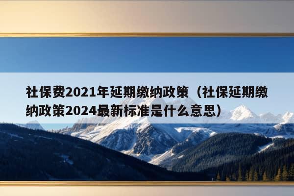 社保费2021年延期缴纳政策（社保延期缴纳政策2024最新标准是什么意思）