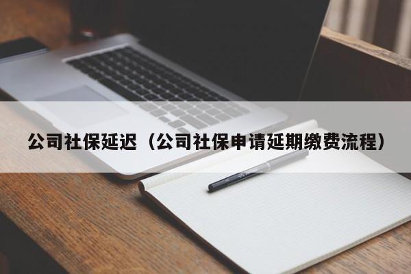 公司社保延迟（公司社保申请延期缴费流程）