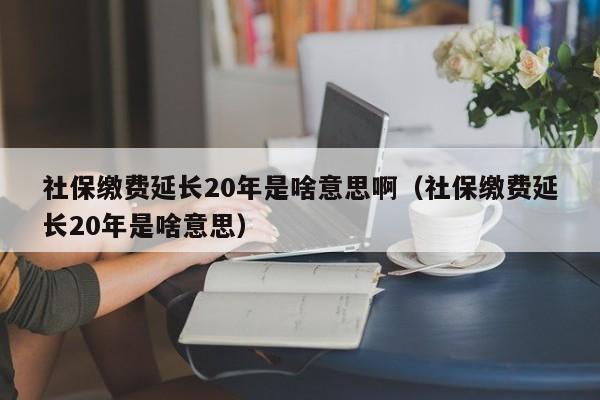 社保缴费延长20年是啥意思啊（社保缴费延长20年是啥意思）