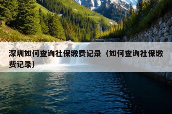 深圳如何查询社保缴费记录（如何查询社保缴费记录）