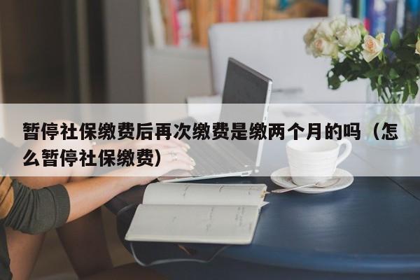 暂停社保缴费后再次缴费是缴两个月的吗（怎么暂停社保缴费）