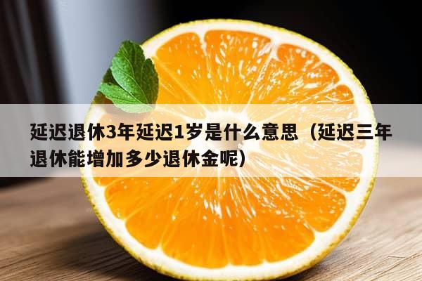 延迟退休3年延迟1岁是什么意思（延迟三年退休能增加多少退休金呢）