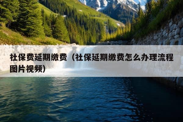 社保费延期缴费（社保延期缴费怎么办理流程图片视频）