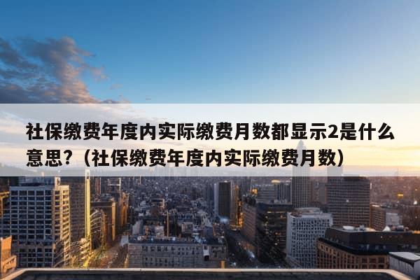 社保缴费年度内实际缴费月数都显示2是什么意思?（社保缴费年度内实际缴费月数）