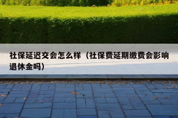 社保延迟交会怎么样（社保费延期缴费会影响退休金吗）