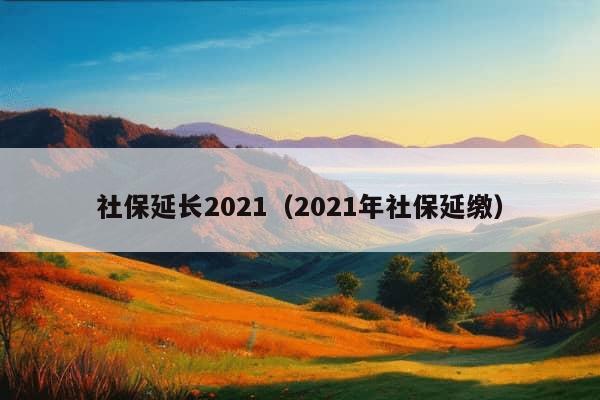 社保延长2021（2021年社保延缴）