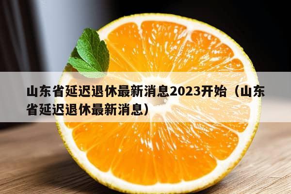 山东省延迟退休最新消息2023开始（山东省延迟退休最新消息）