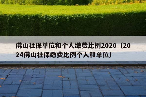 佛山社保单位和个人缴费比例2020（2024佛山社保缴费比例个人和单位）