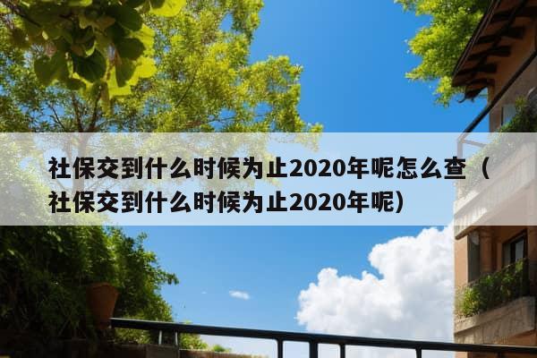 社保交到什么时候为止2020年呢怎么查（社保交到什么时候为止2020年呢）