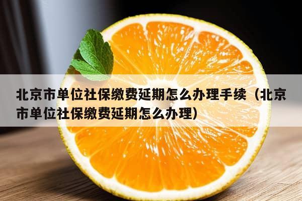 北京市单位社保缴费延期怎么办理手续（北京市单位社保缴费延期怎么办理）